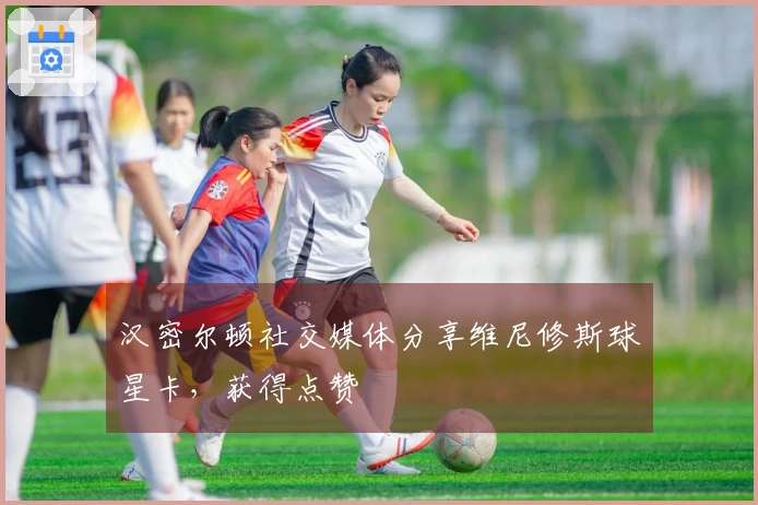 汉密尔顿社交媒体分享维尼修斯球星卡，获得点赞