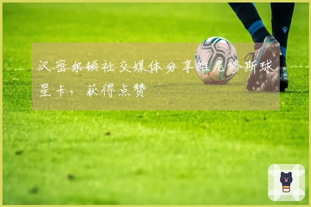 汉密尔顿社交媒体分享维尼修斯球星卡，获得点赞